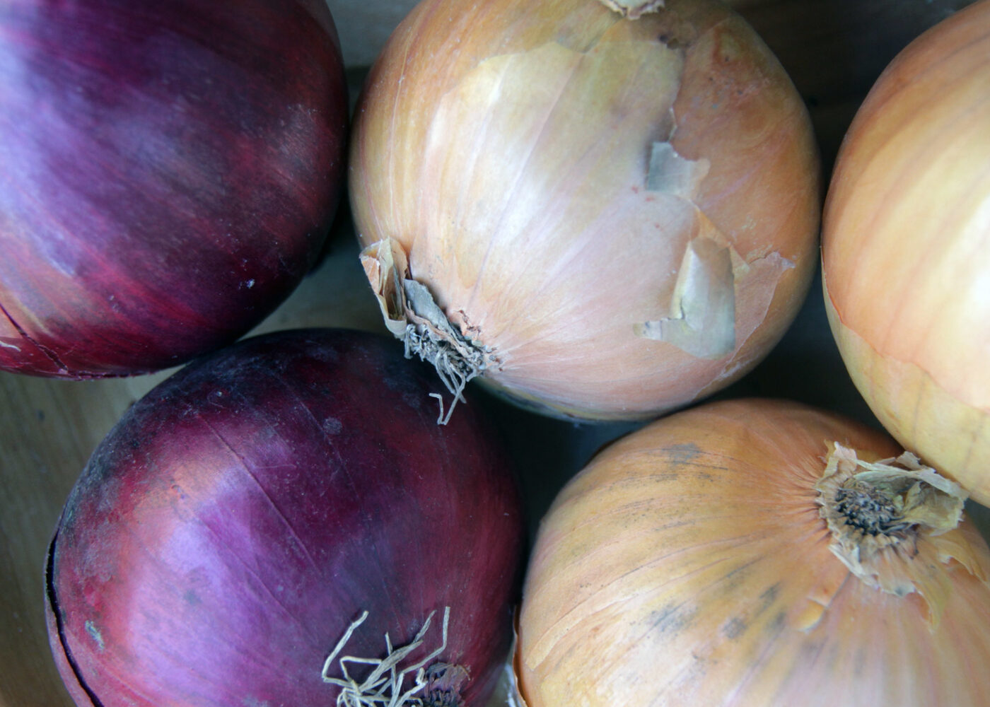 Økonomi i økologisk løkproduksjon