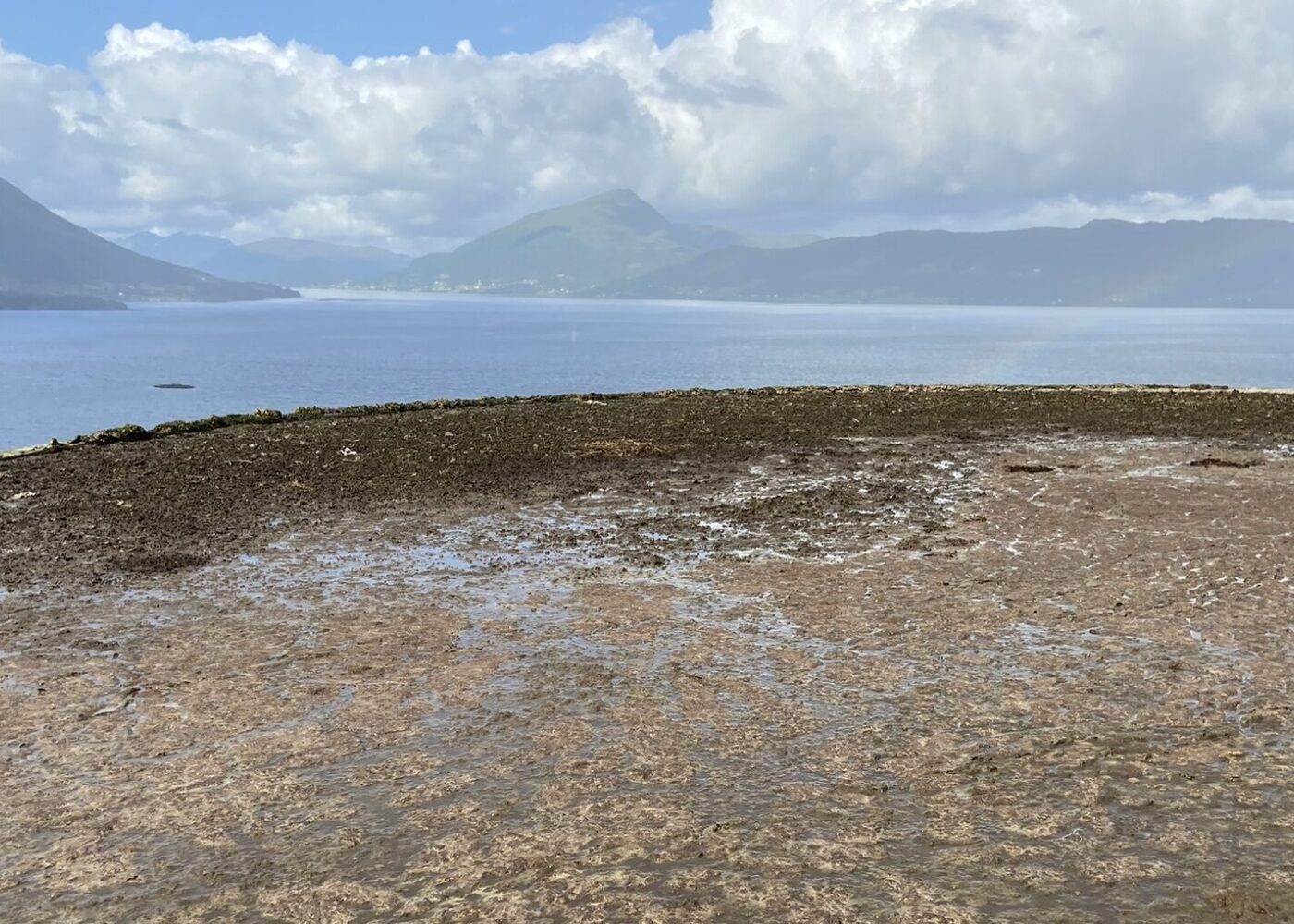 Husdyrgjødsel - bondens gull og store utfordring Husdyrgjødsel - bondens gull og store utfordring