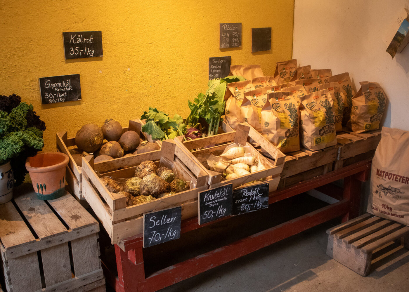 Sterk etterspørsel, svak lønnsomhet – hva skal til for å styrke markedshagene?