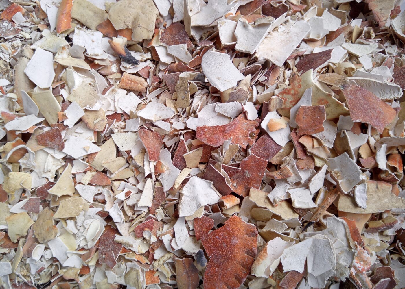 Krabbeskall som kalkingsmiddel Krabbeskall som kalkingsmiddel