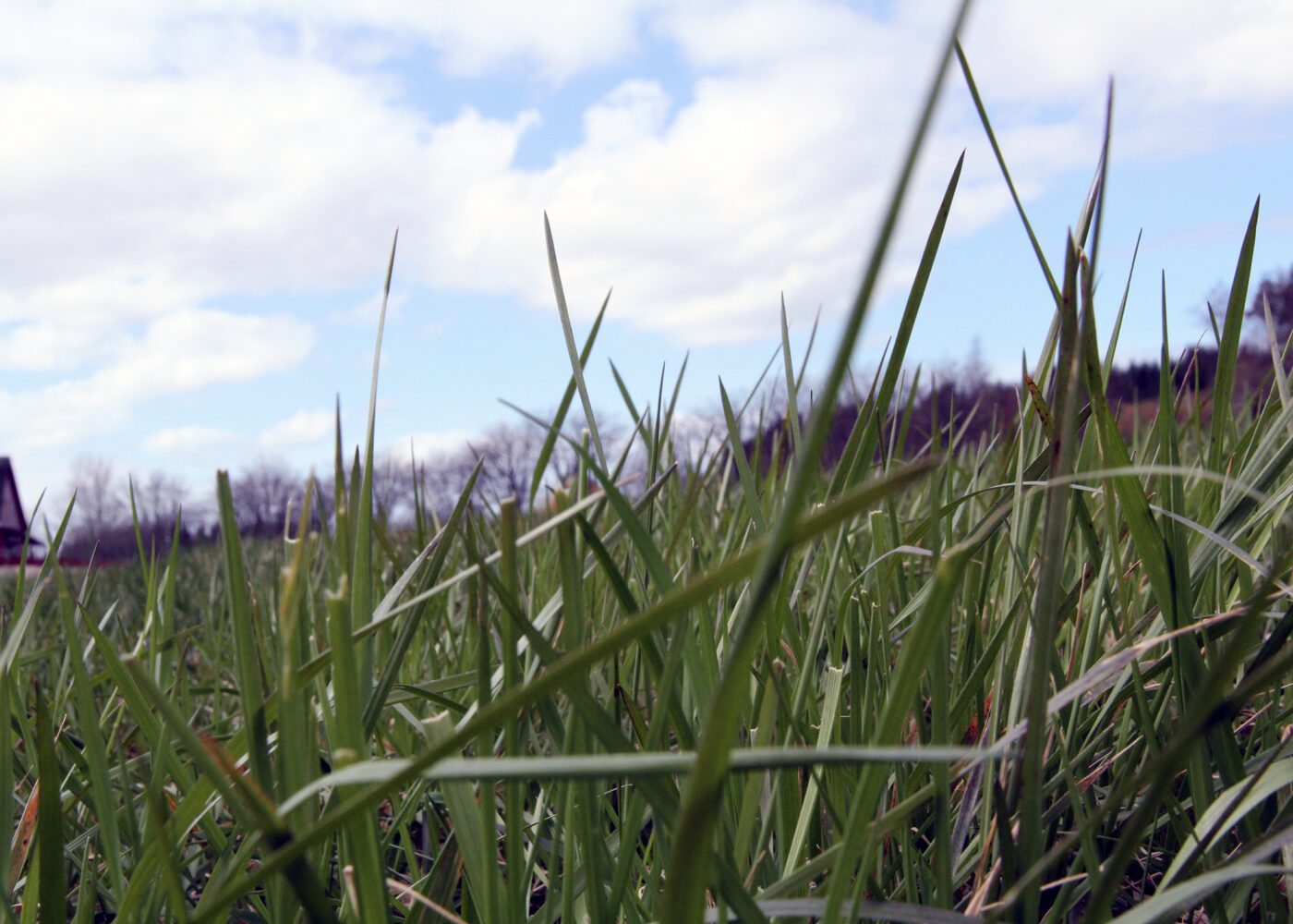 For dyrt å være konvensjonell bonde?