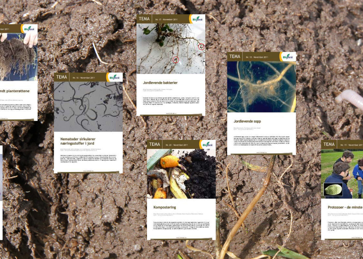 Temaark om livet i jorda og kompostering