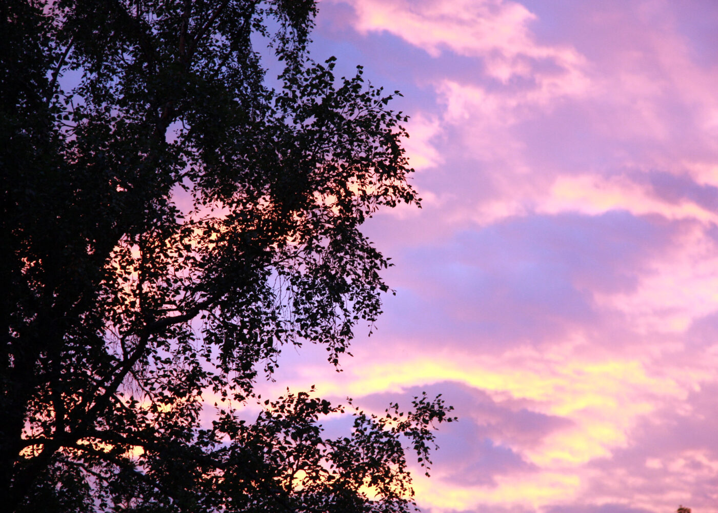 Kunnskap for å forstå klimaendringene