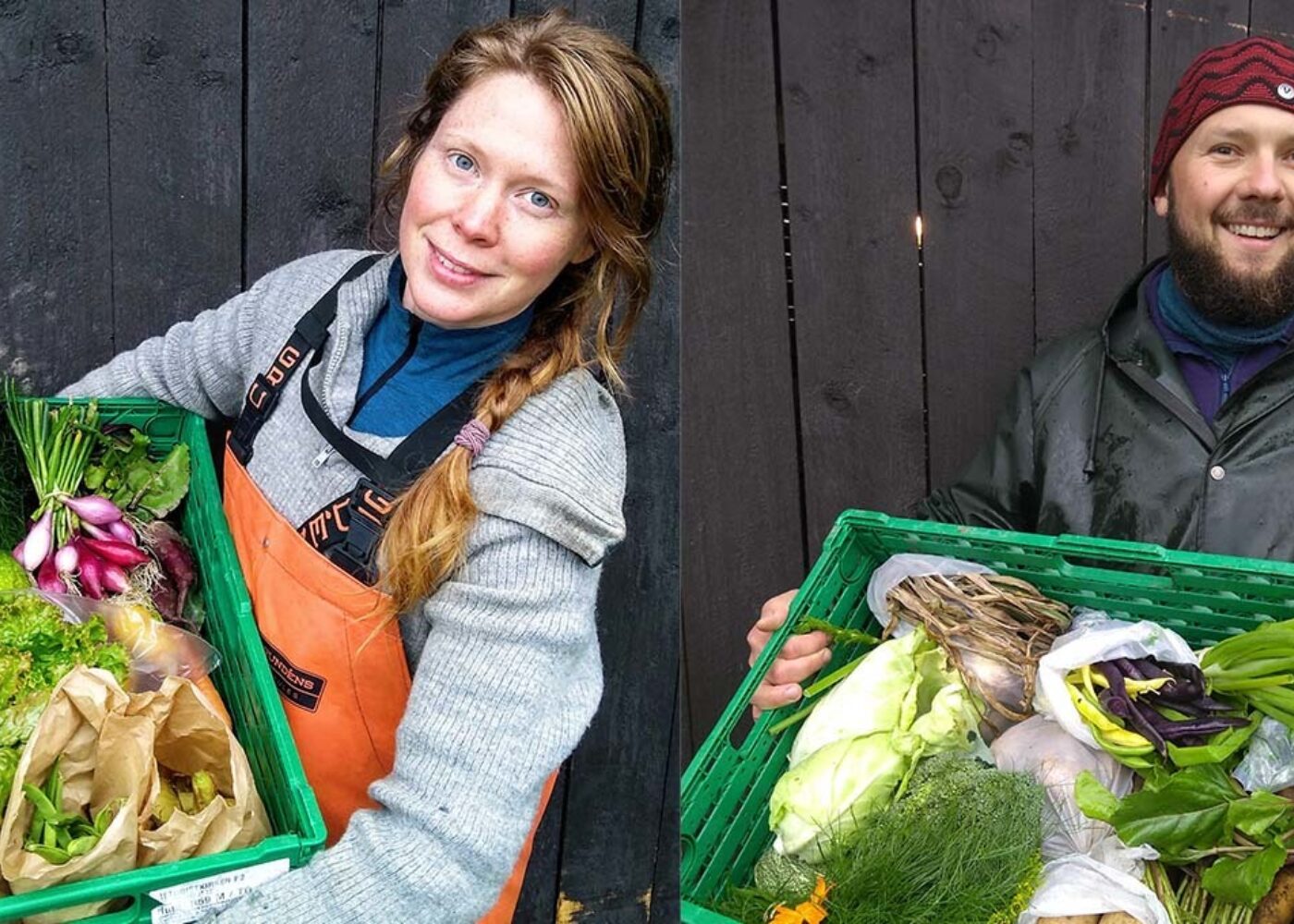 Insektmøkk som gjødsel - en test på Undeland gård