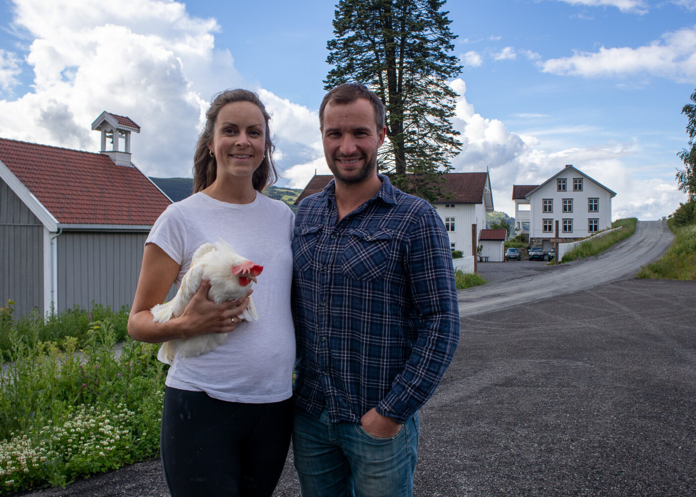 Trivsel med økologiske høner i Ringsaker