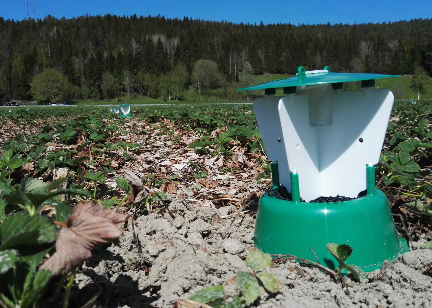 Plantevernpreparater tillatt i økologisk landbruk