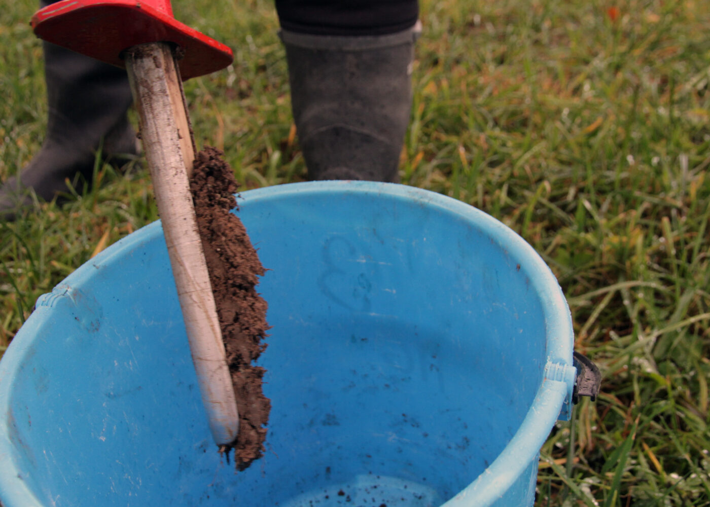 Kaliumtilførsle i eng på ulike jordartar
