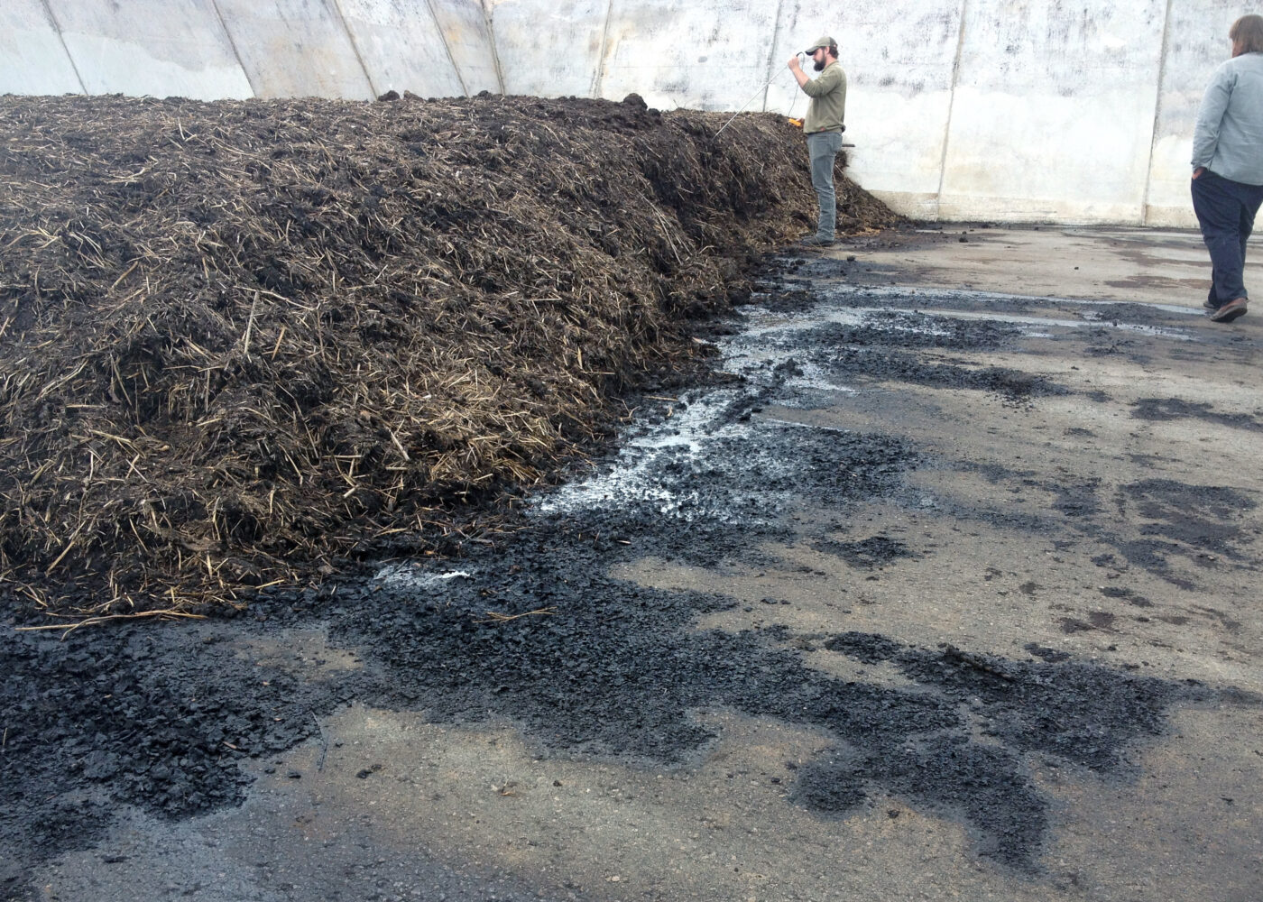 Mikrobiell karbonisering