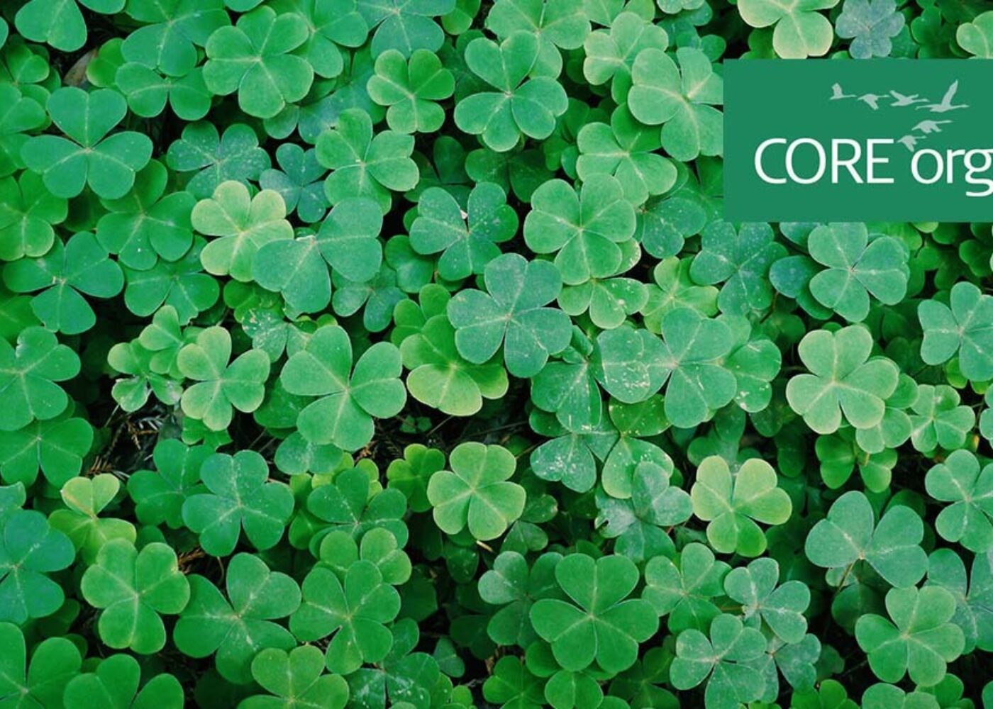 CORE ORGANIC: 15 år med europeisk forskningssamarbeid