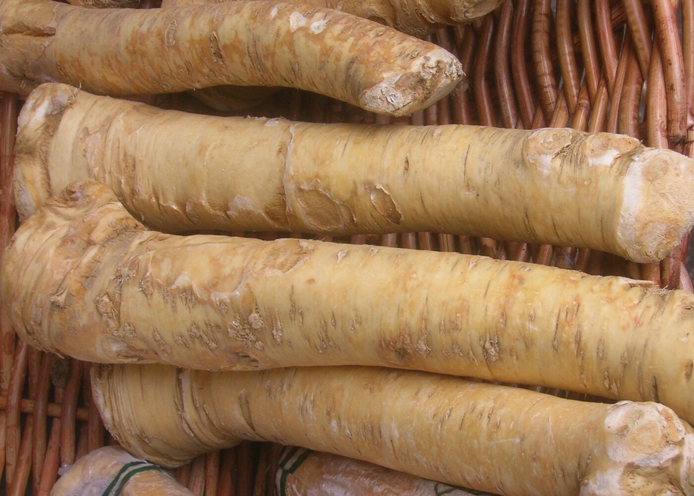 Dyrkingsveiledning for pepperrot