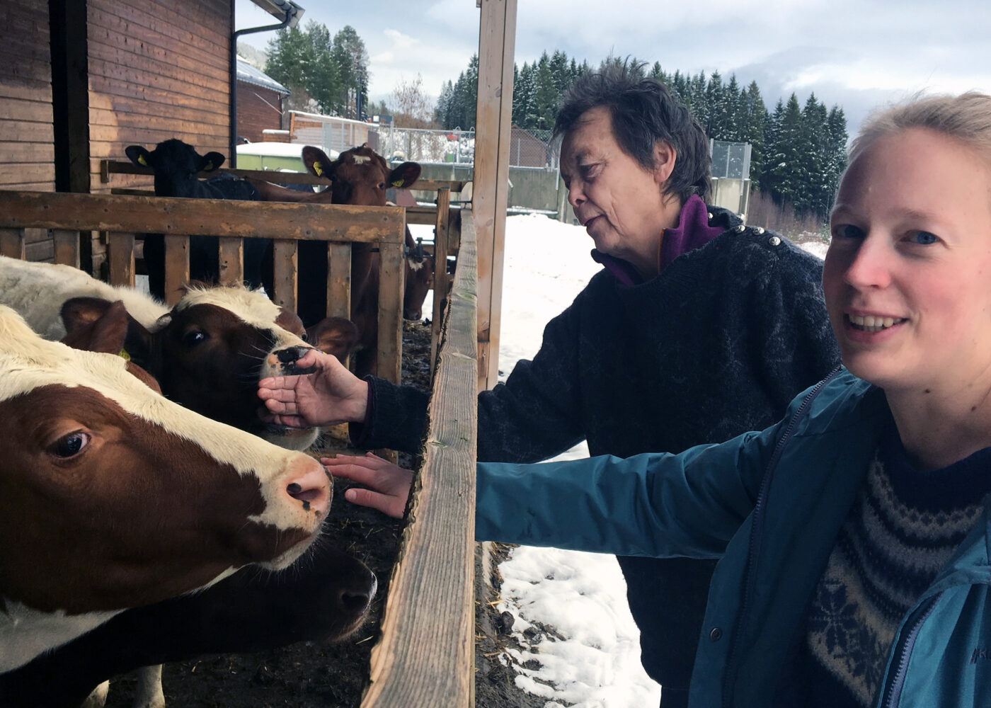 Dyrevelferd og god dyrehelse