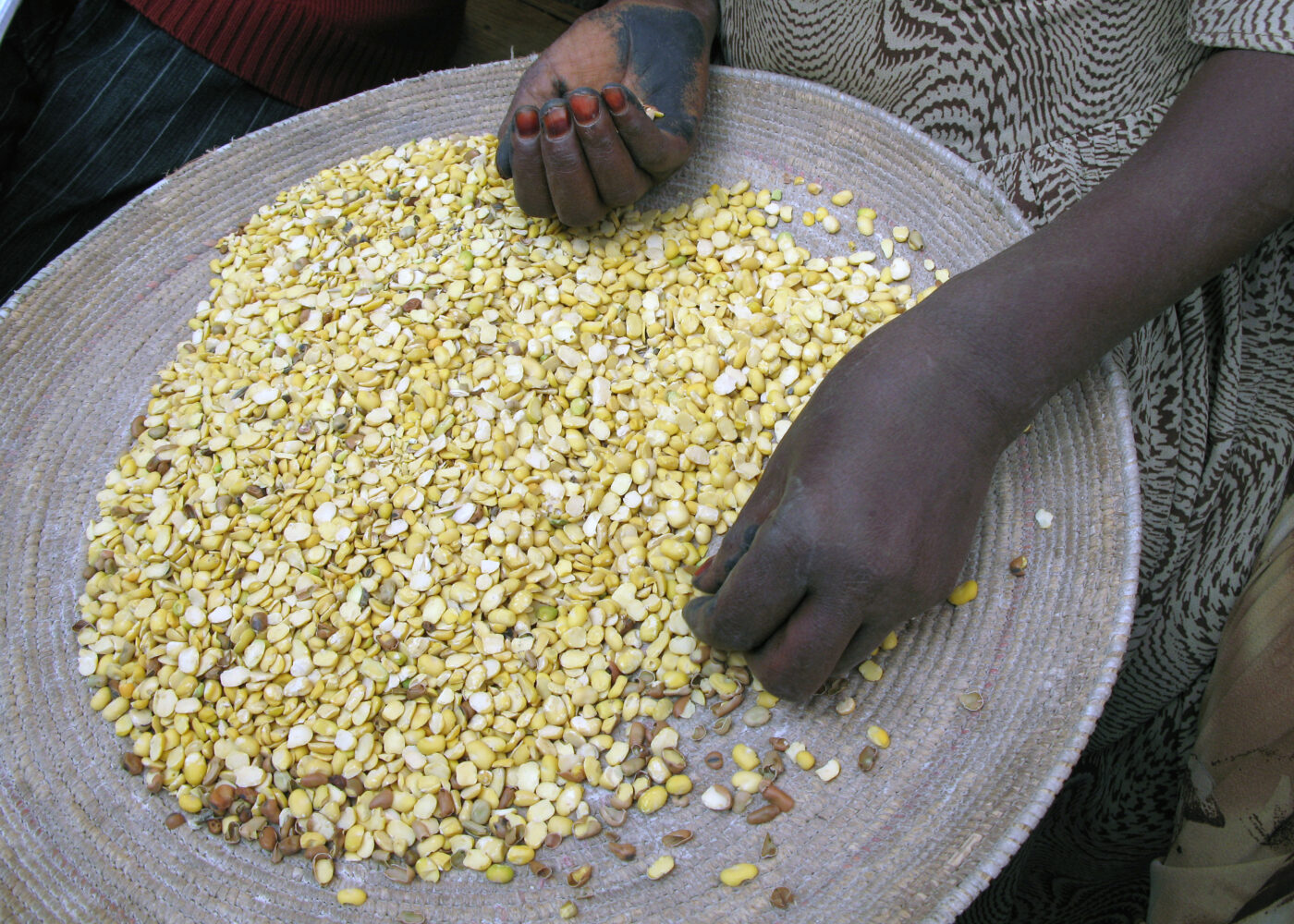 Nok mat med økologisk landbruk