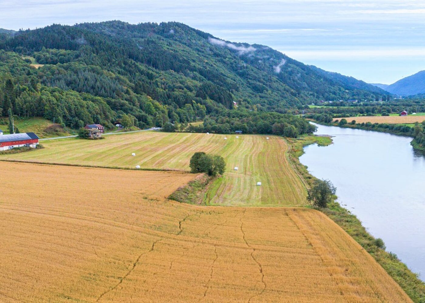 Muligheter for økologisk landbruk i Møre og Romsdal