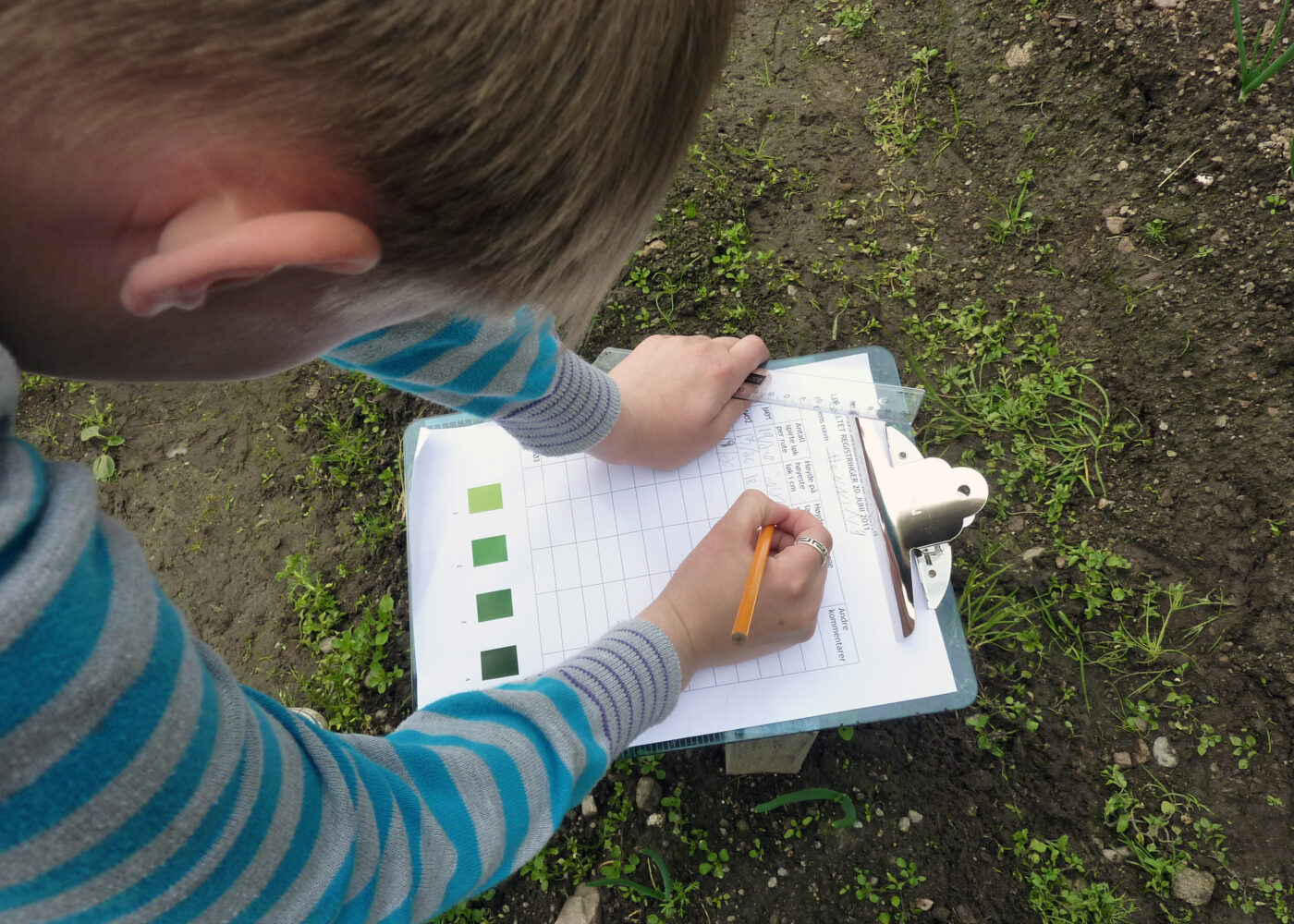 «Møkkaprosjektet» - et tverrfaglig forskerspireprosjekt «Møkkaprosjektet» - et tverrfaglig forskerspireprosjekt