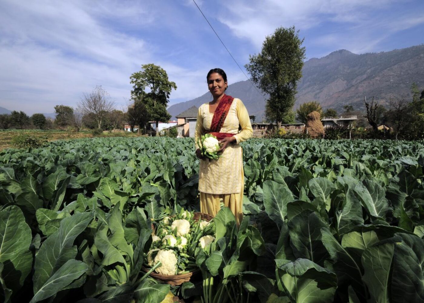 IFOAM – økologisk landbruk over hele verden