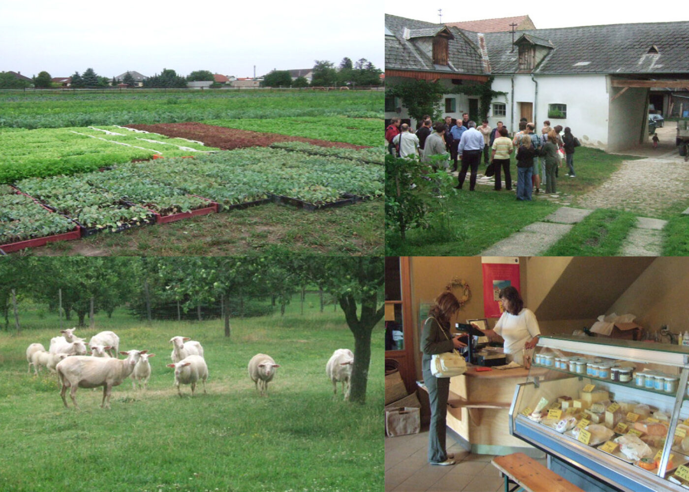 Mangfoldig økolandbruk i Østerrike