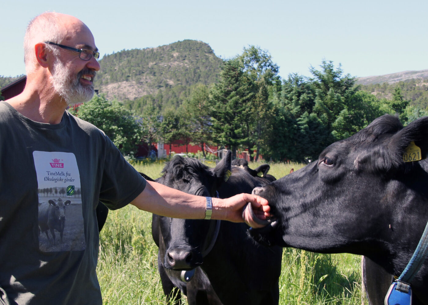 Lykkes tross begrensninger