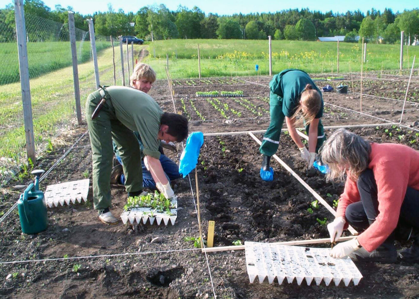 Husdyrgjødsel og farlige bakterier