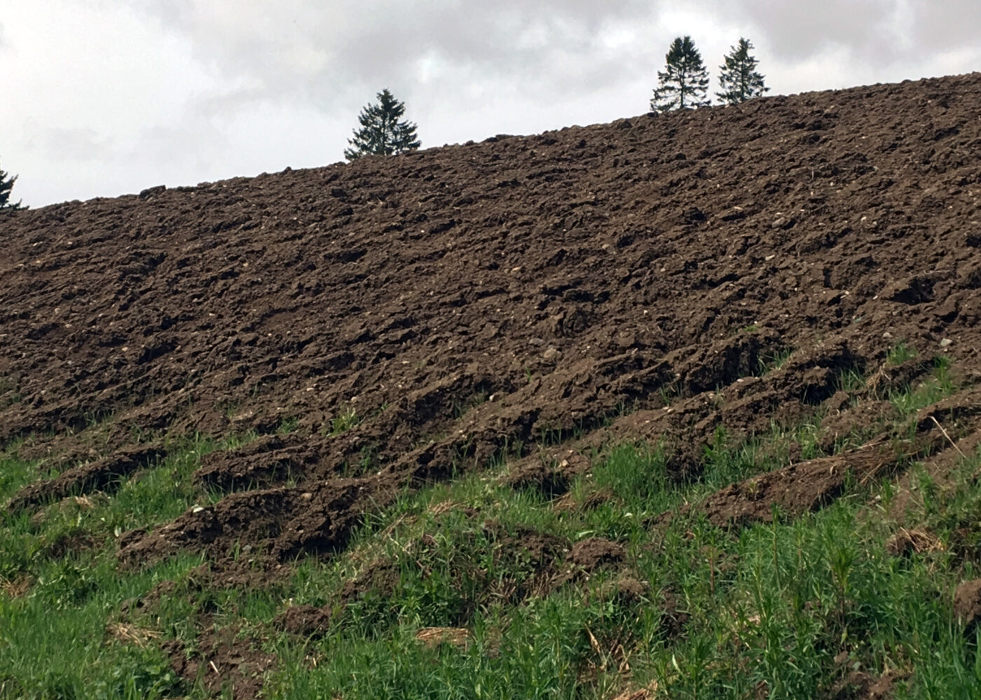 Utslipp av lystgass fra eng og åker - og hvordan de kan reduseres