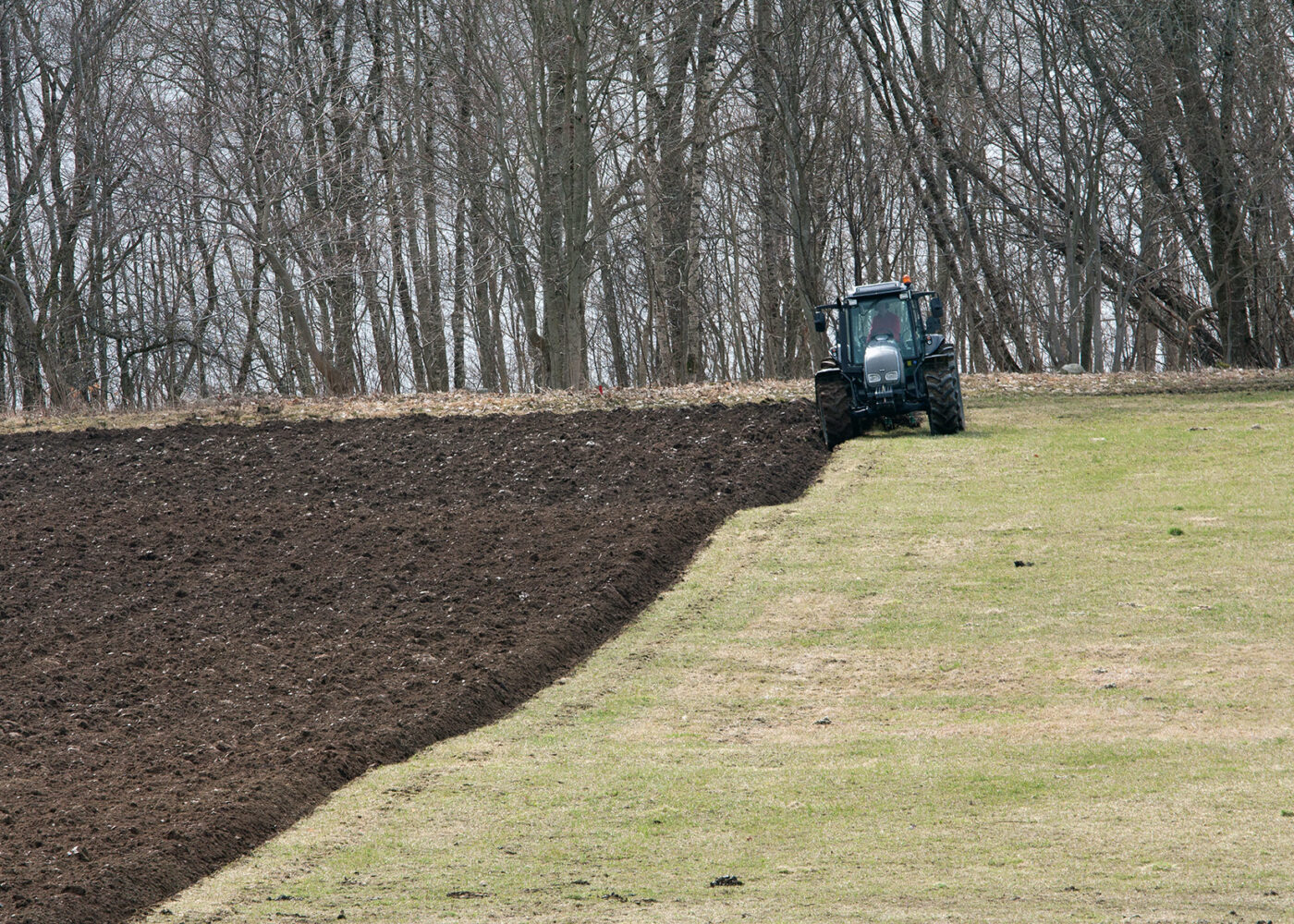 Jordforhold og jordarbeiding i korn