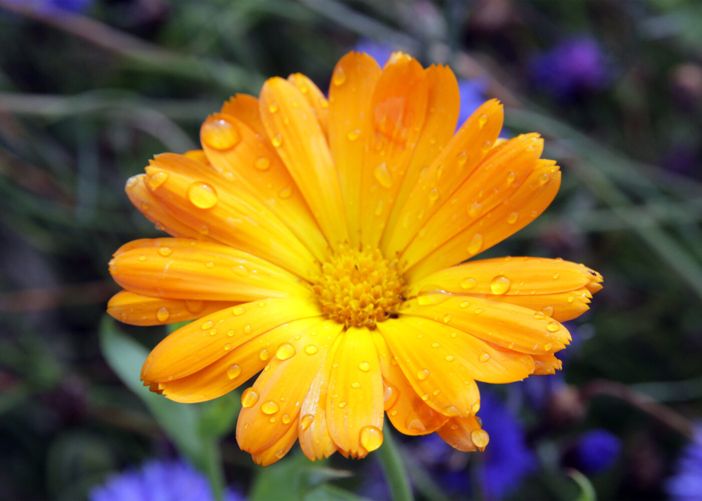 Livsløpsanalyser er ikke tilstrekkelig utviklet