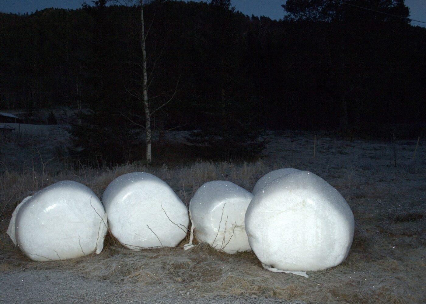 Konservering av gras