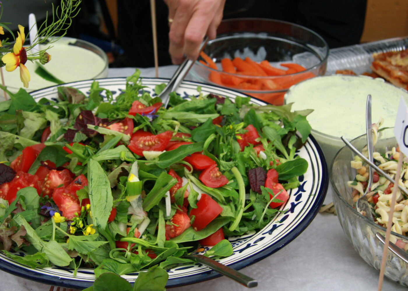 Omlegging til økologisk - hva skal til?