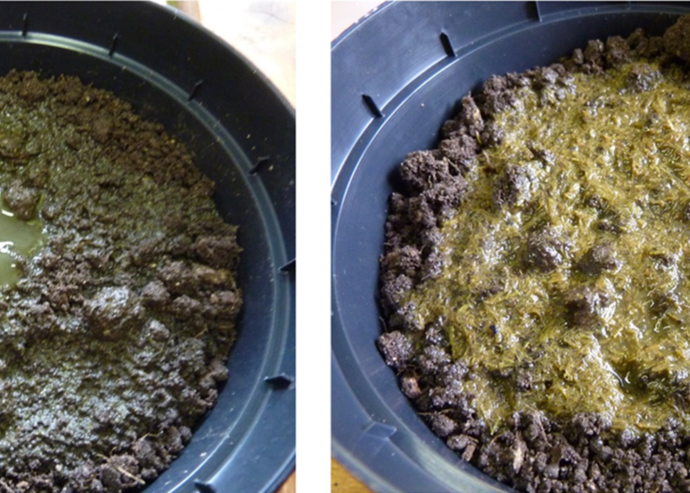 Fra biogass til jordfruktbarhet: Vurdering av råtnerest i økologisk landbruk