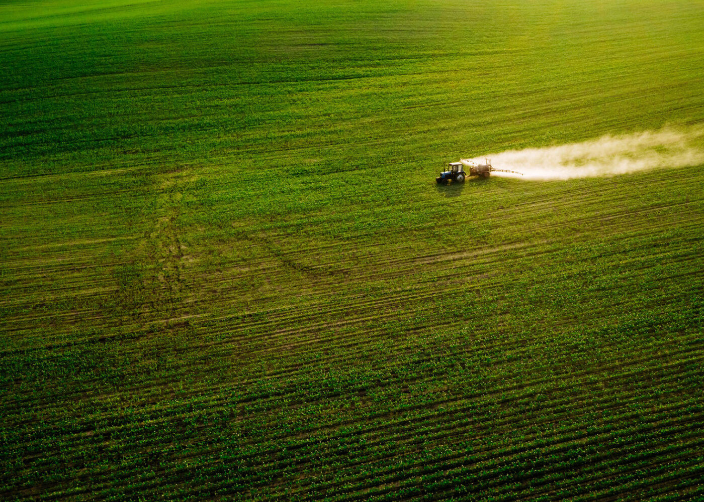 Kjemiske sprøytemidler spres i miljøet