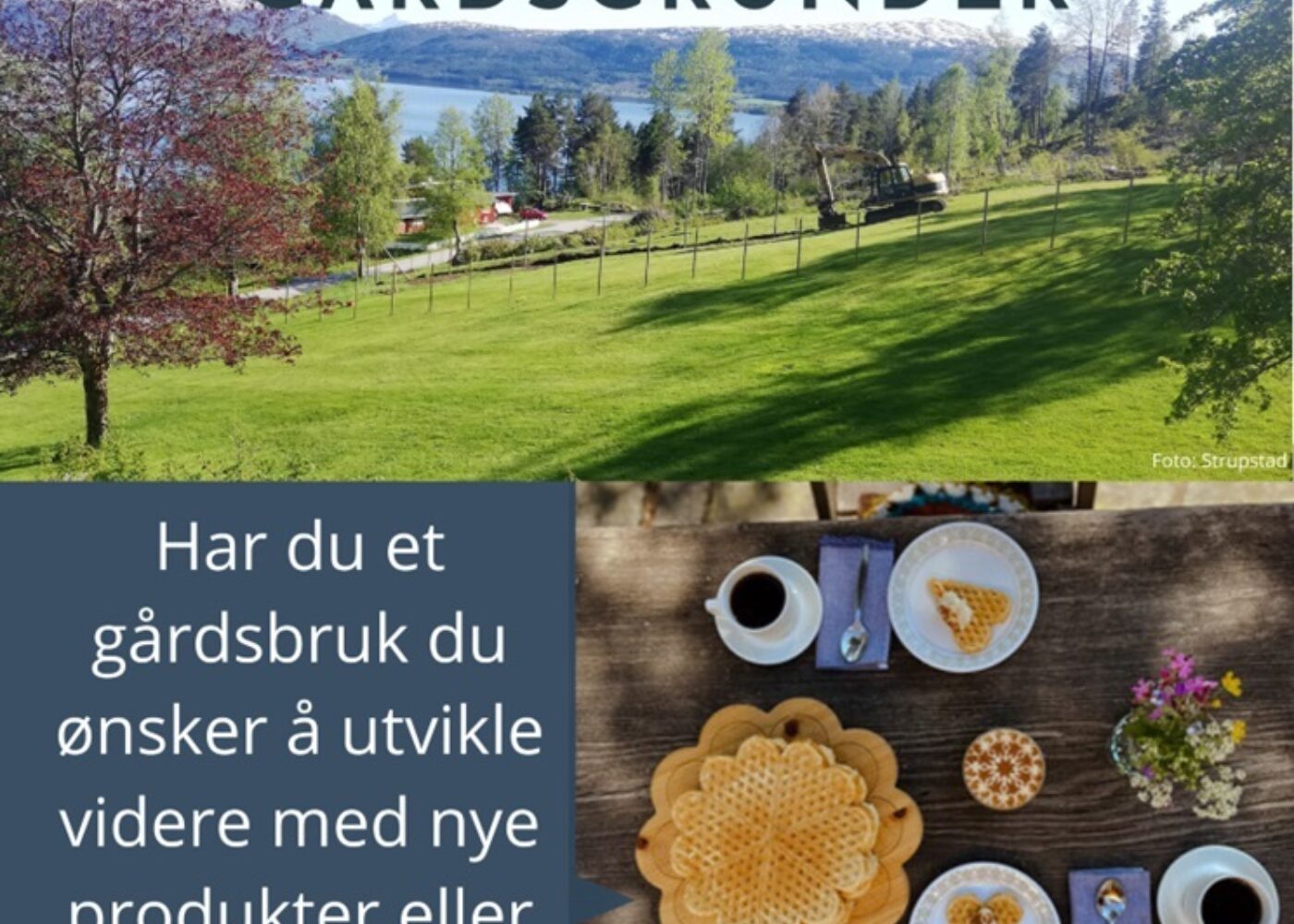 En møteplass for gårdsgründere - hvordan utvikle et gårdsbruk?