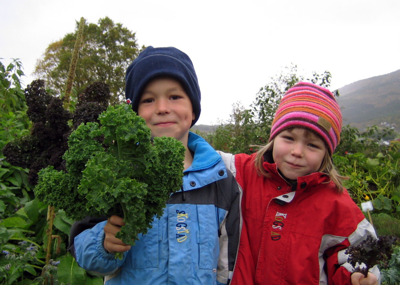 Skolehage for morgendagens forvaltere