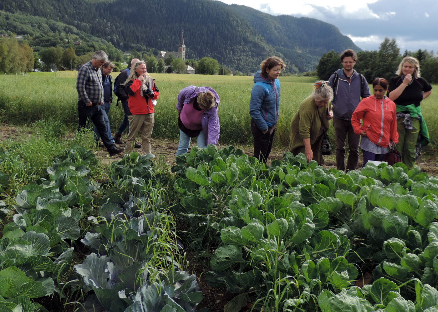 Besøk til Medalhus Andelslandbruk