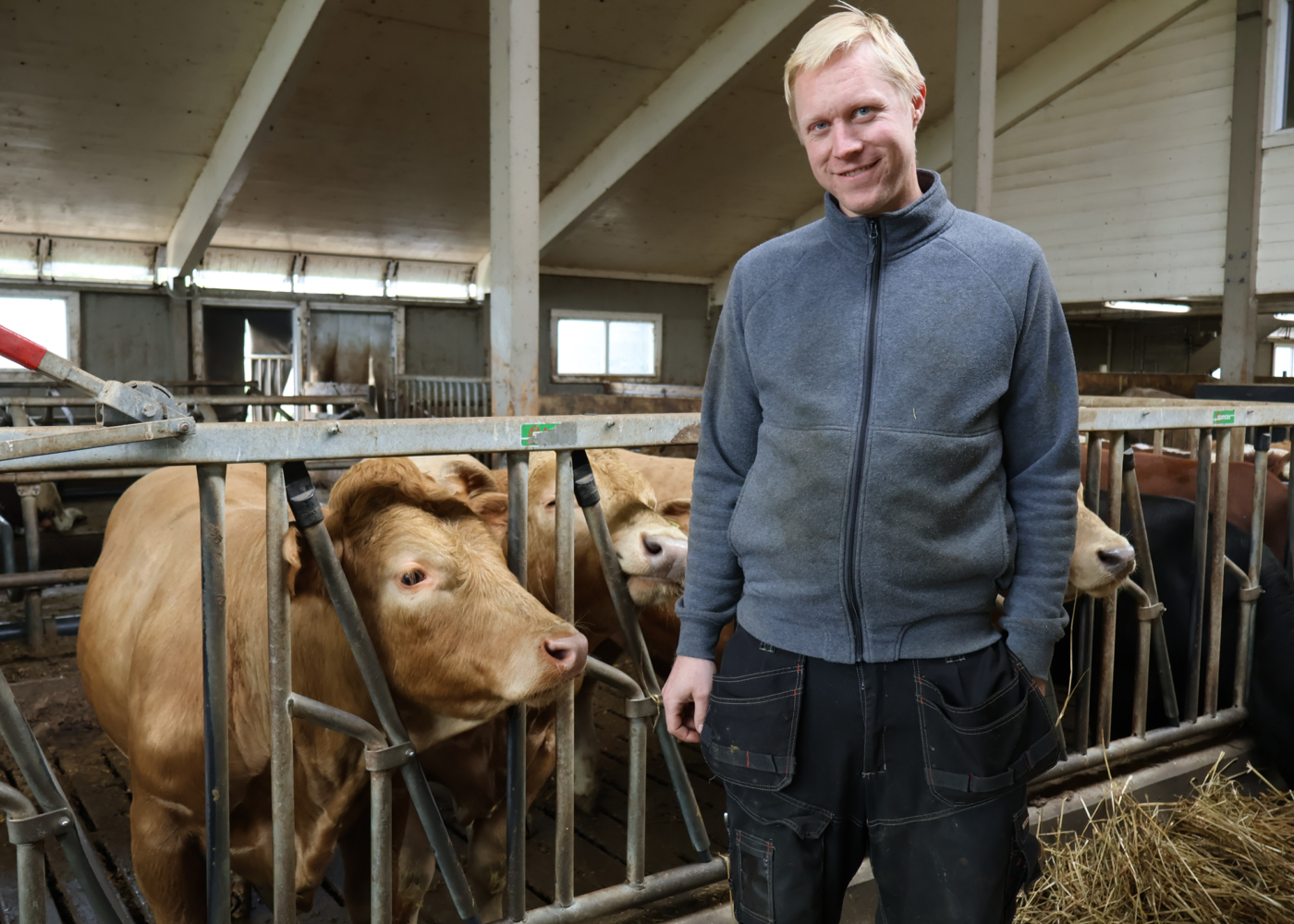 Økologisk melk, egne okser og lokal foredling Økologisk melk, egne okser og lokal foredling