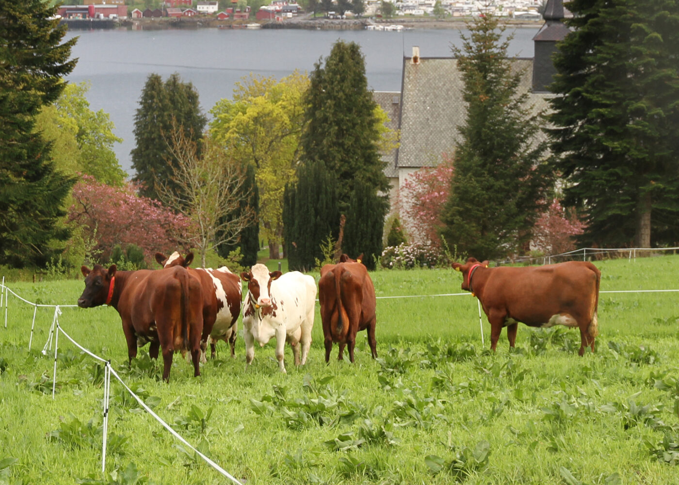 Økologisk landbruk og agroøkologi