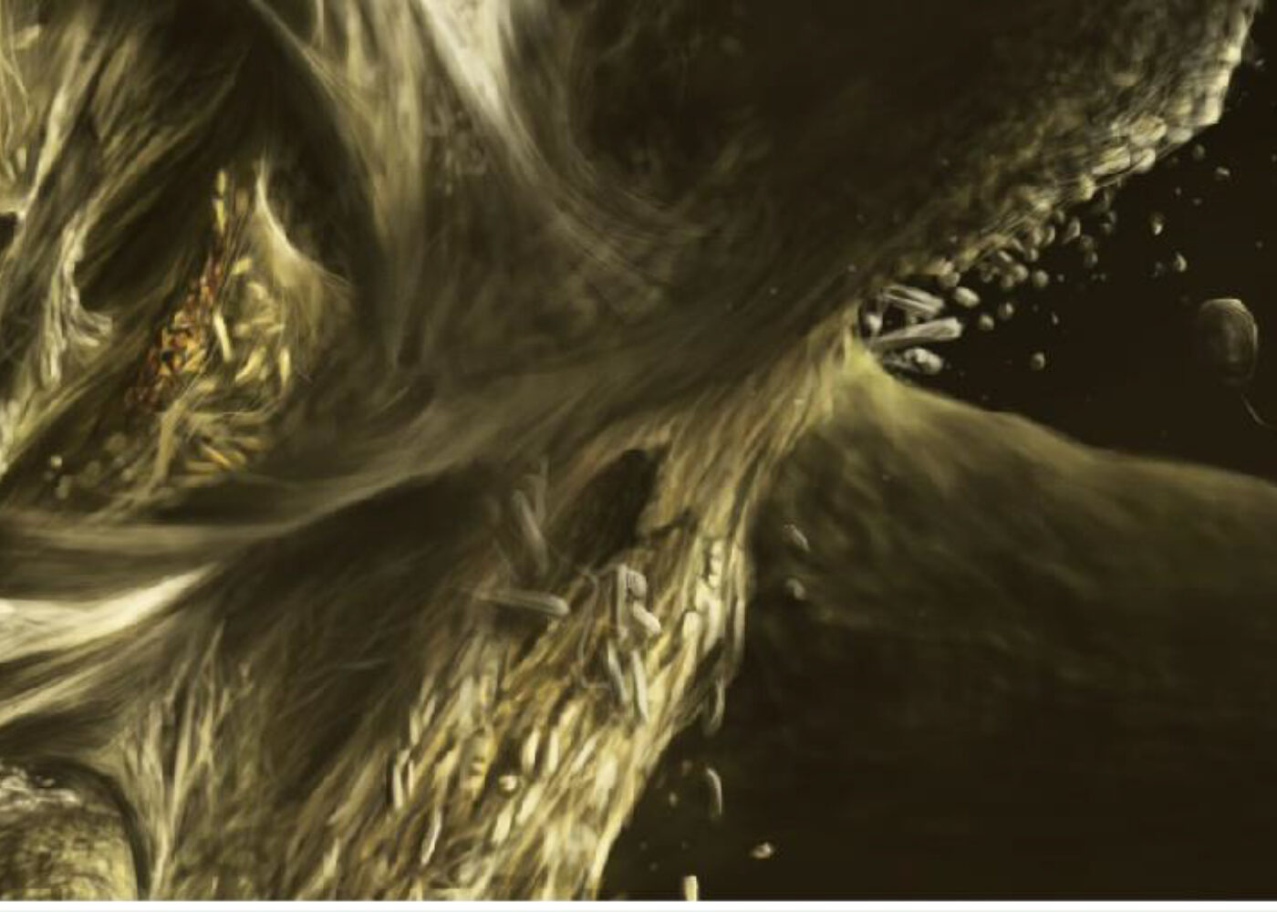 Bakterier i jord og kompost