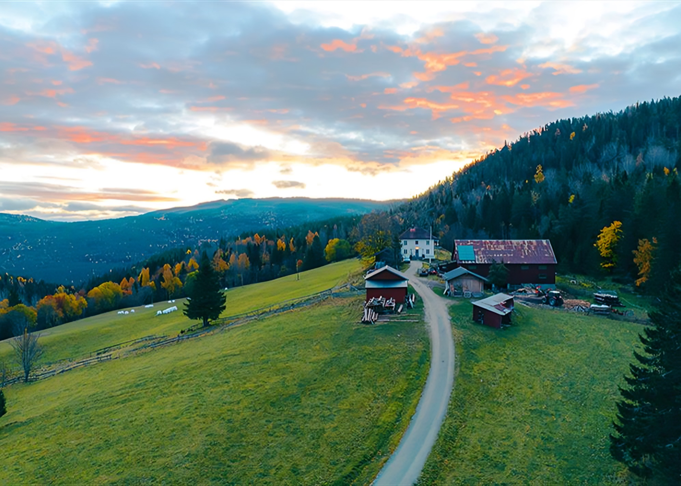  Tjønnås Økogard – med himmelen som nærmeste nabo