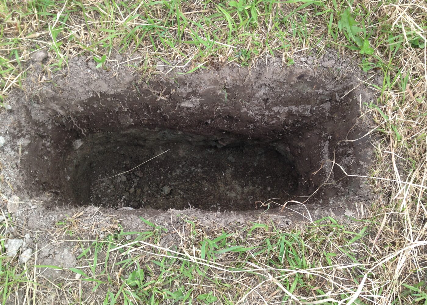 Kalkulator for karbonmengde i jorda