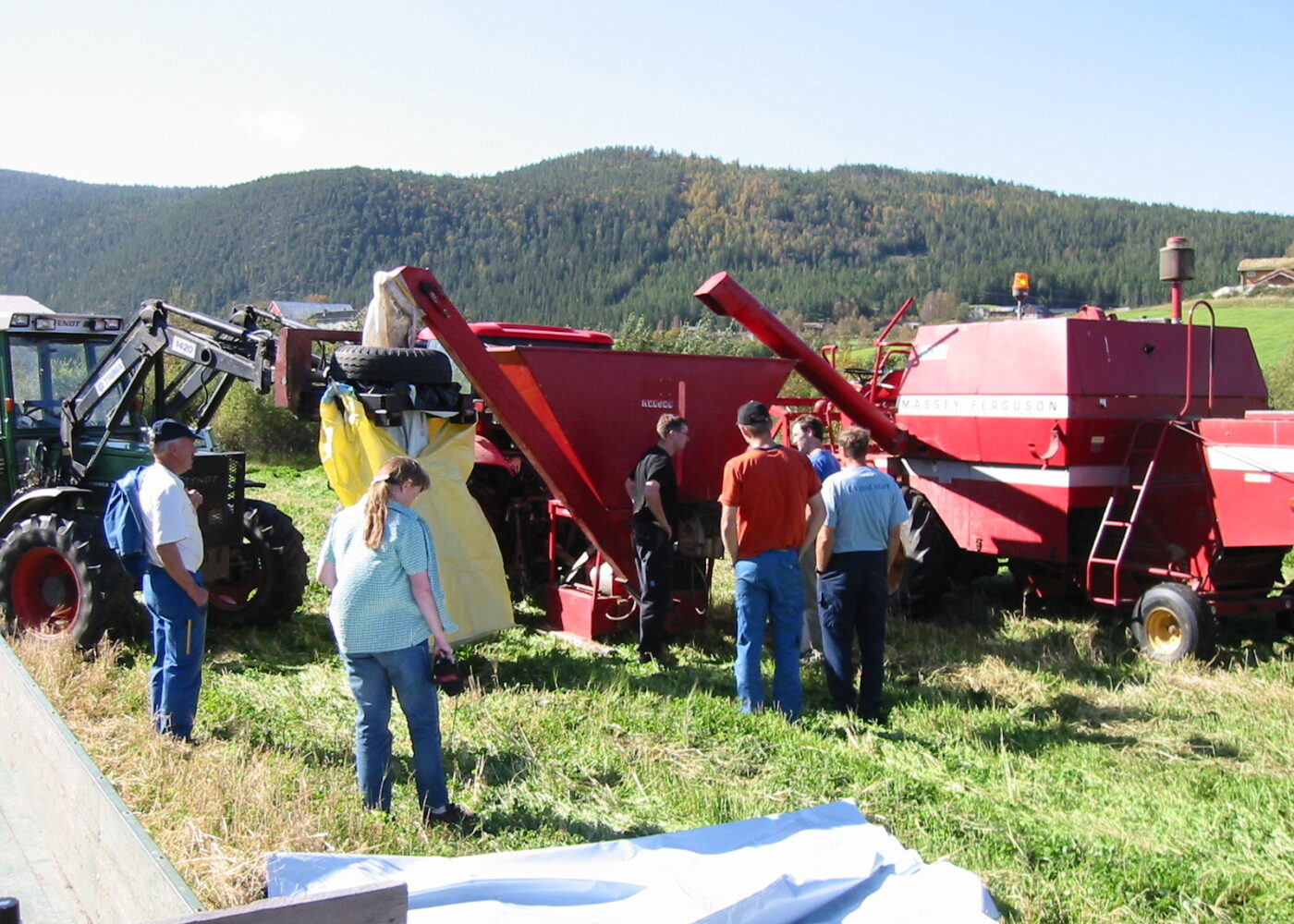 Krossensilering av korn