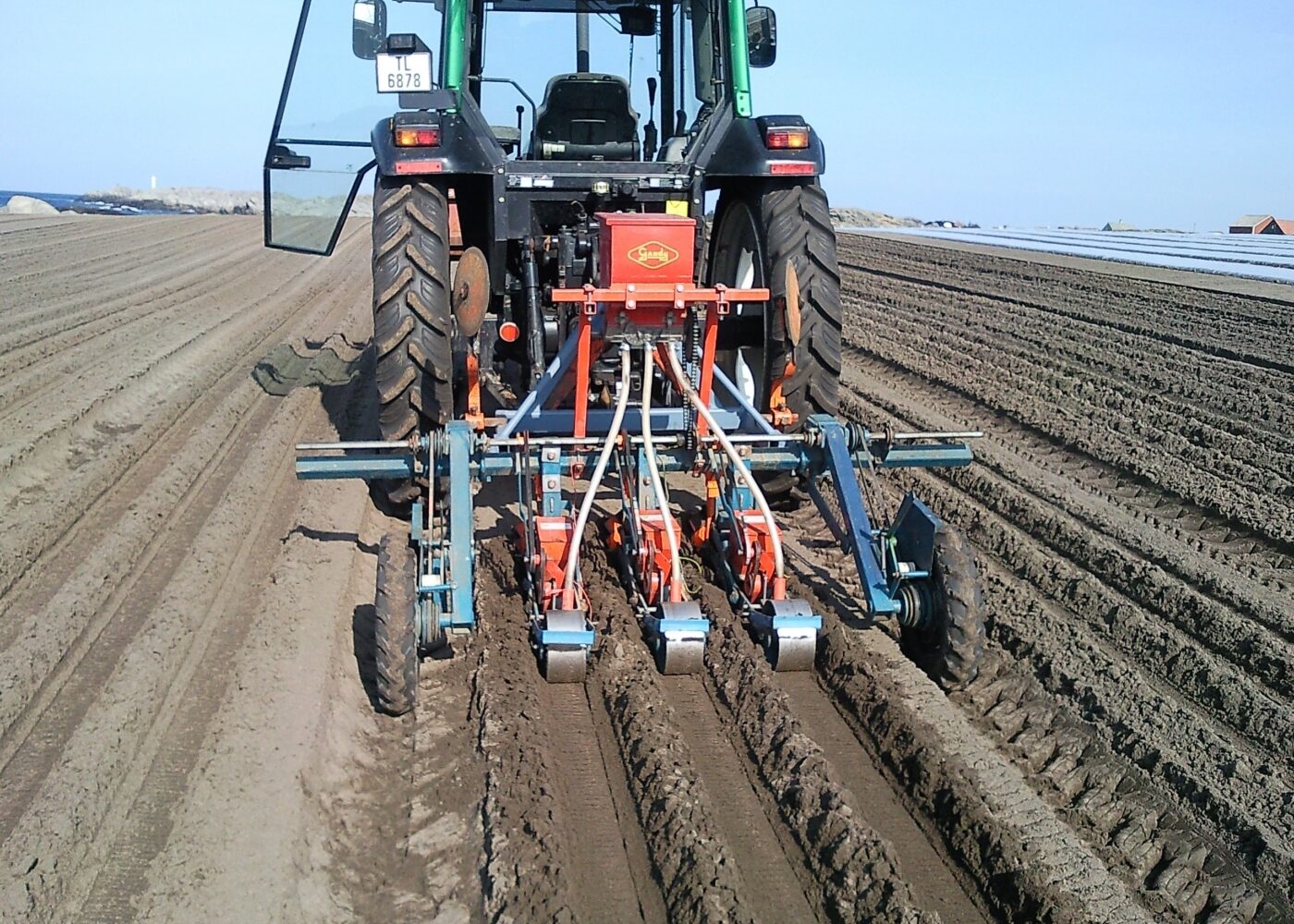 Jordarbeiding, såing og dyrkingsopplegg for gulrot