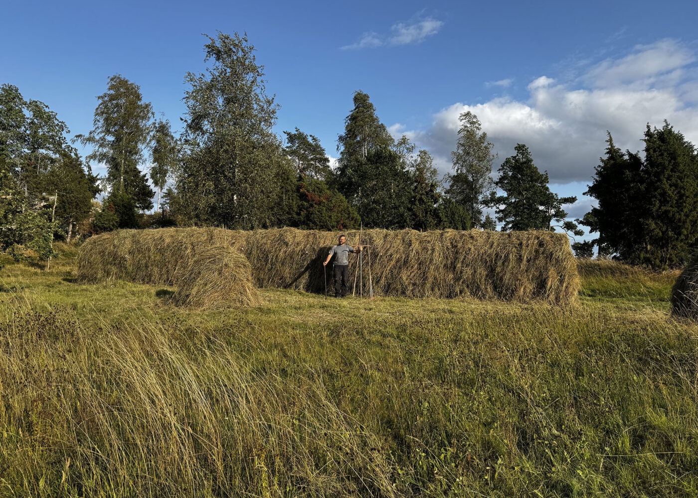 Beitedyr, samarbeid og kjærlighet til naturen – lærdommer fra Rävbacken