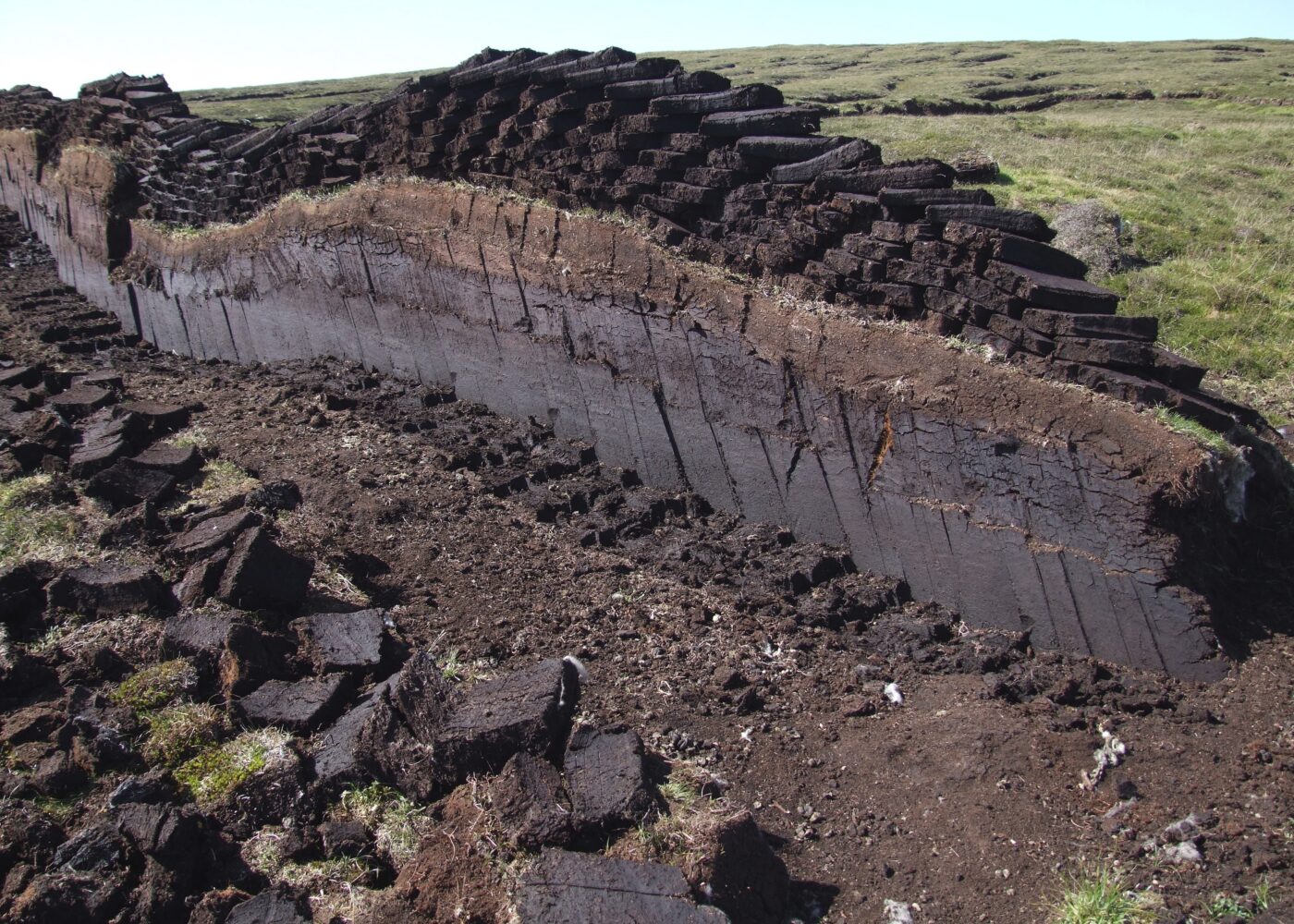 Alternativer til torv i vekstmedier