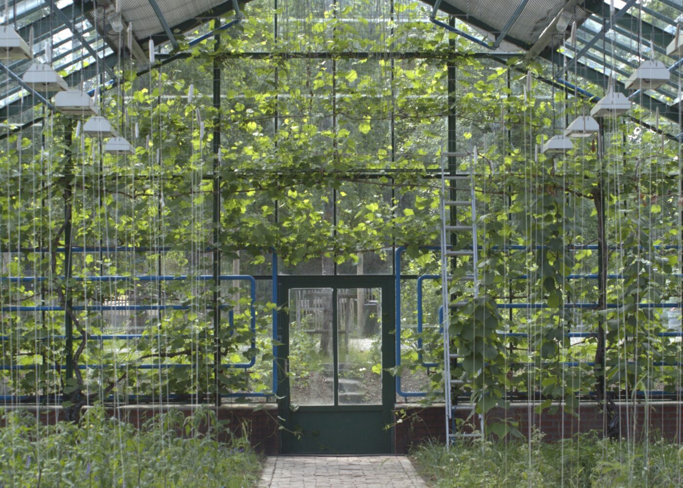 Veksthus til nytte, pryd og innovasjon på Ramme Gaard