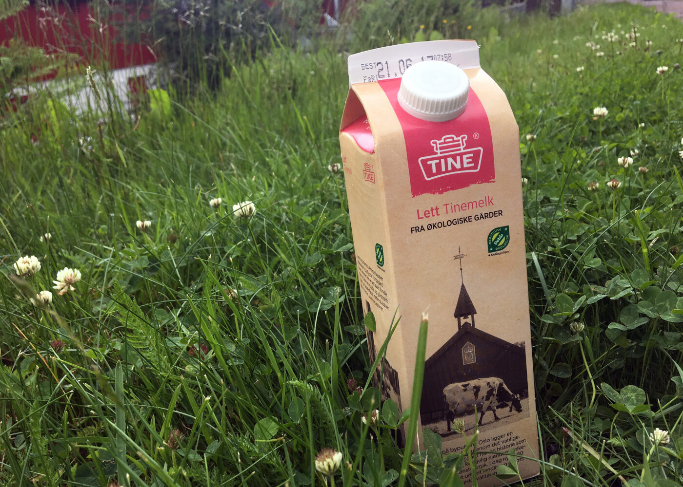 Mindre eksem med øko-melk