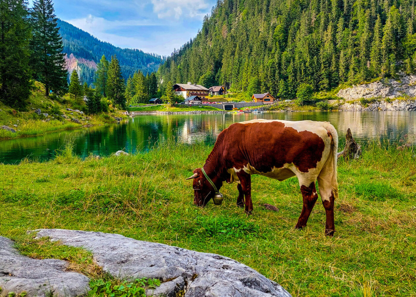 Økologisk landbruk i Østerrike – et fyrtårn for norsk landbrukspolitikk?