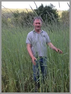 Lie Svalheim har drevet gården siden 1987 og la om til økologisk i 2001. Gården har vært i familien i generasjoner, og sønnen Jostein Svalheim er også involvert i drifta i sesongen. De planlegger å starte gårdsmalteri i 2017.