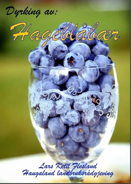 Trykk på bildet og les veilederen