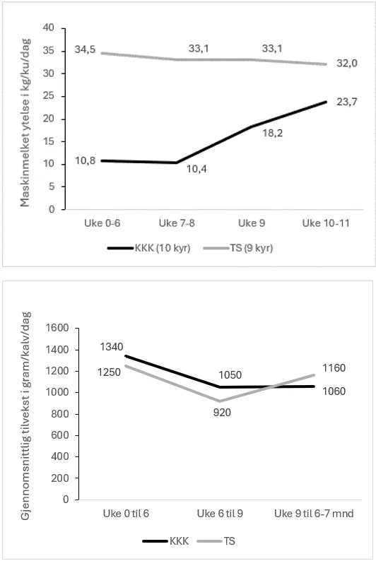 Den øverste figuren viser daglig maskinmelket ytelse per ku (box-plot med median og variasjon) i uke 0-11 etter kalving for kyr på beite fra de to behandlingene: ku-kalv-kontakt (CC) og tidlig separasjon (ES). Den nedre figuren viser gjennomsnittlig daglig tilvekst (gram/kalv/dag) i tre perioder fra fødsel til 6–7 måneders alder for ku-kalv-kontakt kalver (CC, n=10) og tidlig separerte kalver (ES, n=10)