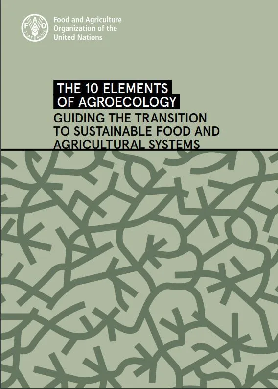 Trykk og les FN rapport om 10 viktige elementer i agroøkologi