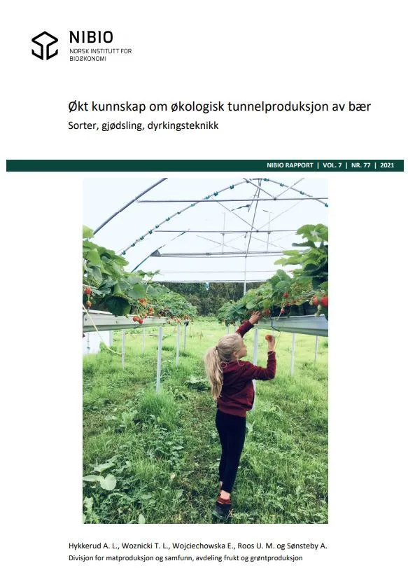 Trykk på bildet og les hele rapporten