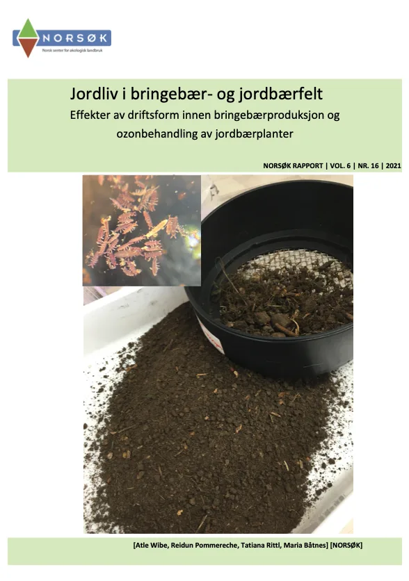 Trykk og les hele rapporten